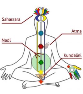 Chakras and kundalini awakening